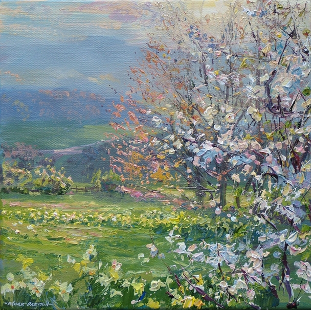 Mark Preston - blackthorn and daffodils, ashleyhay